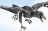 Археоптерікс (лат. Archaeopteryx)