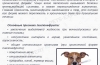 Цистит у собаки: симптоми та лікування в домашніх умовах