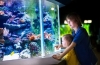 Aquarium for a child