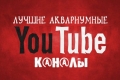 Акваріумні youtube-канали: найкращі з найкращих!