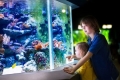 Aquarium for a child