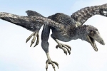 Археоптерікс (лат. Archaeopteryx)