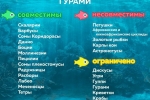 Хитрощі у змісті рибок гурамі: від походження до розмноження