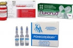 Як виявляється парвовірусна інфекція у собак, методи боротьби з нею