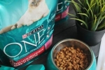 Корм для котів «пуріна ван» (purina one)